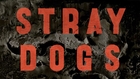 STRAY DOGS (trailer)