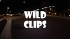 Nectarina Wild Clip #2