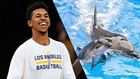 Nick Young Recounts Near-Death Dolphin Encounter  - ESPN