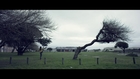 PH FAT & AL BAIRRE - CAVIAR DREAMS (Official Music Video)