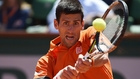 Djokovic reaches French Open final