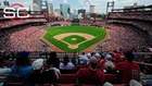 Stunning accusations against Cardinals