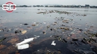 Virus levels of Rio Olympic waters equivalent to raw sewage