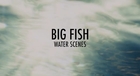 Big Fish - Water Scenes