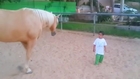 First meeting between a special little boy and a horse