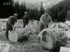 Splitting Wood With Dynamite