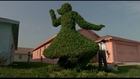 Edward Scissorhands - topiary & haircuts