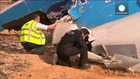 Sinai crash: black boxes to reveal their secrets