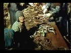Documentary | Alaskan King Crab Fishing | SD