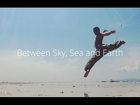 Between Sky, Sea and Earth - Ehrlich 