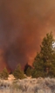 wild fire in eastern Washington okanogan county raw video