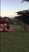 Guitarist Charms Kangaroo With Funky Riff