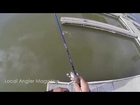 Utah Fishing - Panfish Insanity!