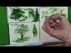LAcrylic Painting Tips and Techniques: LANDSCAPE BRUSH SELECTION