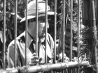 Kopie von Africa Screams (1949) - Full Movie (480p, image stabilized)