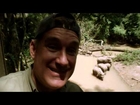 Animal Jam - Dr. Brady Barr and an Asian Elephant Herd