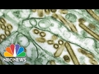 CDC Failures Expose Workers To Deadly Viruses | NBC News