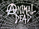 ANIMAL DEAD - FEIATUS (1998) - CD COMPLETO
