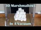 What Happens When You Put 30 Marshmallows In A Huge Vacuum Chamber?