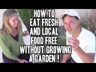 Eat Fresh & Local Food FREE without Growing a Garden