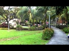the vibrant tiong bahru morning workout crowd - VIDEO0009