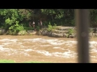 Dog rescued from river flood