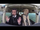 Mark Vette & His Team Teach Dogs To Fly