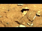 Leg Bone on Mars - Mars Curiosity Anomalies 2014