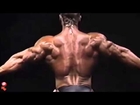 Best Motivation Videos = Bodybuilding Motivation Call For Heroes
