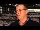 DNA Technology - Changing the Face of New Zealand Sheep Farming