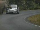 Thai Elephant Crushes Car In Khao Yai National Park