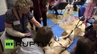 UK: Meet the adorable puppies helping students to tackle exam anxiety