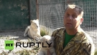 Russia: Rare WHITE lion cubs show off adorable toothless grins