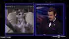 Are You Ready for Some Fuzzball?! - What a F**king Idiot - @midnight with Chris Hardwic...