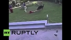 India: Toddler SAVAGED by German Shepherd in public park