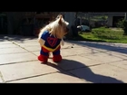 DOG DRESSED LIKE A SUPERHERO! VERY COOL!