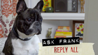 Reply All - #022 Ask Frank: Advice for Dogs. By a Dog.