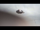 Mysterious Ufo Sightings Compilation of All Time HD