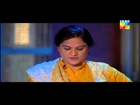 Kahani Raima Aur Manahil Ki Episode 11 HUM TV Drama
