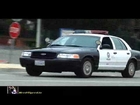 Police chase 8 Lamborghinis 