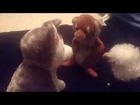 Stuffed Animal Story: Stuffed Love