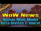 WoW News: Human Male Model, Beta Invites and MORE! by QELRIC
