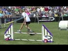 Small Dog Agility Winner - 2014 Purina® Pro Plan® Incredible Dog Challenge National Championships