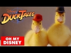 DuckTales Theme Song With Real Ducks