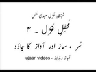 Ghazal King Mehdi Hassan in mehfil-e-ghazal-4