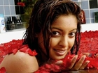 Tanushree Dutta Indian Actress, Model