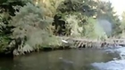 Bald Eagle Steals Fish Right Off Fisherman’s Line