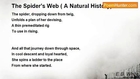 E.B. White - The Spider’s Web ( A Natural History)