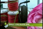 Revista Televizive e Mbremjes, 8 Nentor, Ora 00:15 - Top Channel Albania - News - Lajme