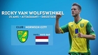 Ricky van Wolfswinkel, ce talent brut de Norwich !